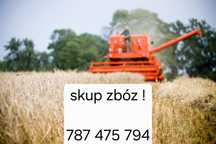 Wszystkie zboża. Pszenica ,pszenżyto, jęczmień , kukurydza.