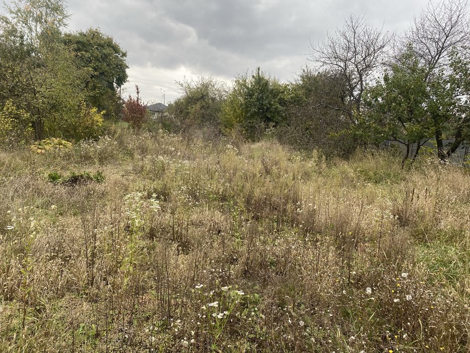 Продаж будинку в Лезнево