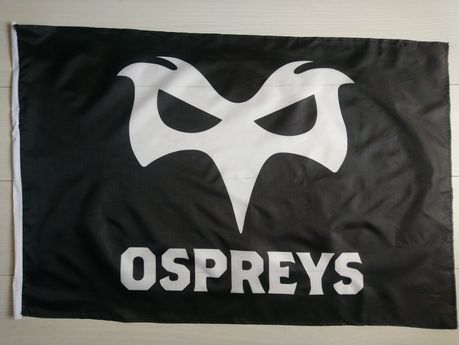 Прапор флаг плакат Ospreys 60×90 см