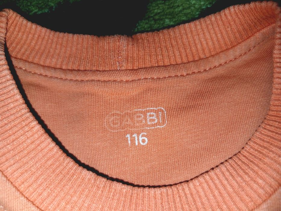 Світшот для хлопчика зріст 116 см