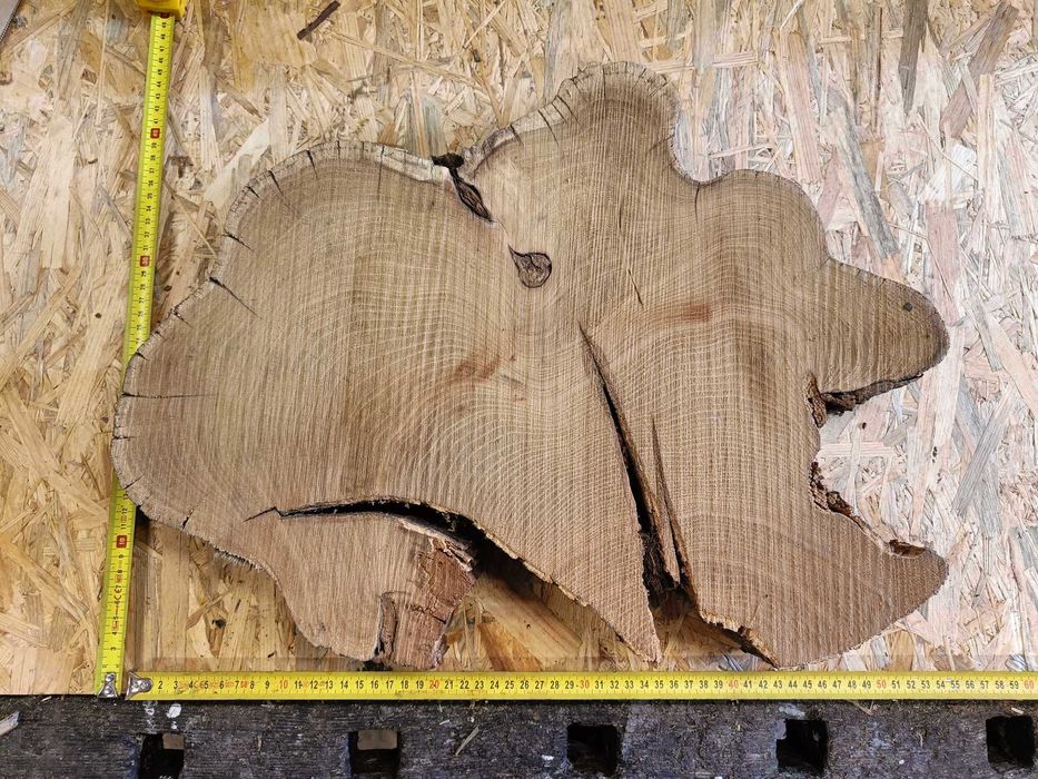 plastry plaster drewna akacja