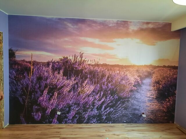 Malowanie ,tapetowanie,foto tapety.Ceny konkurencyjne!