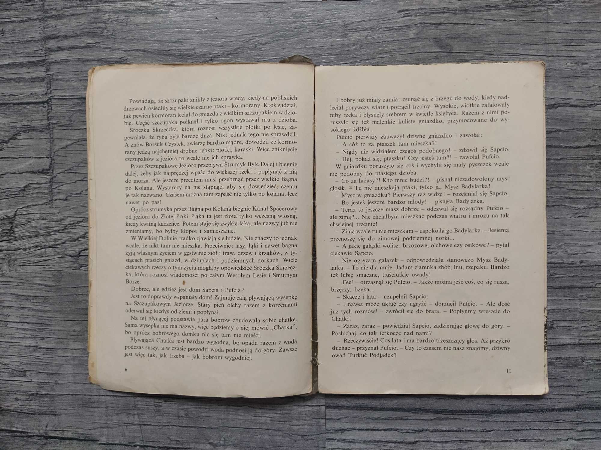 Poznajemy Sapcia i Pufcia Maria Kowalewska 1965 rok