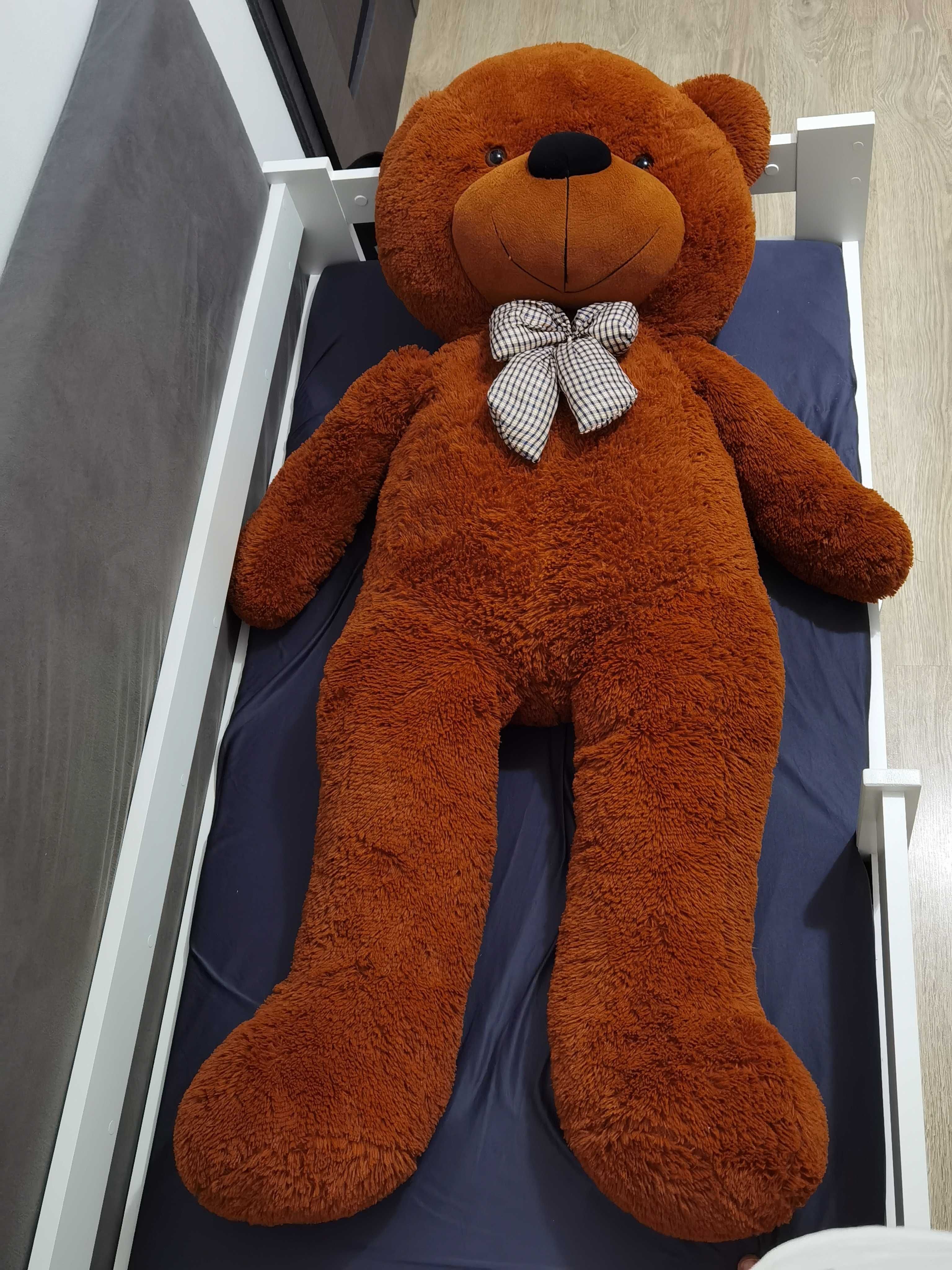 Duży, pluszowy miś 150cm.