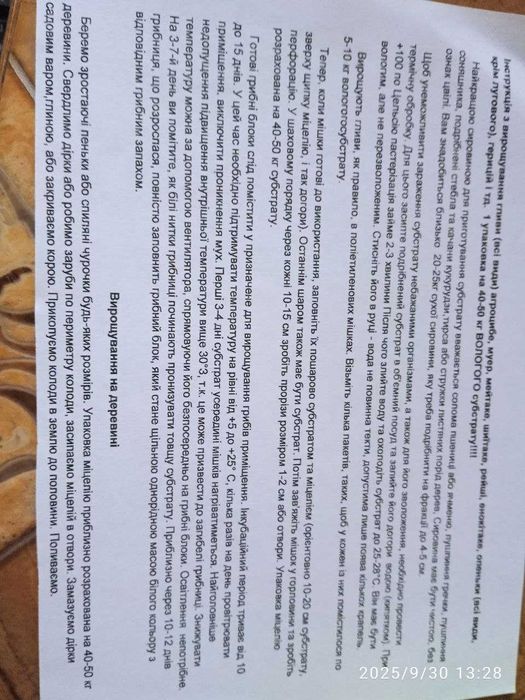 Міцелій глива лимонно-жовта