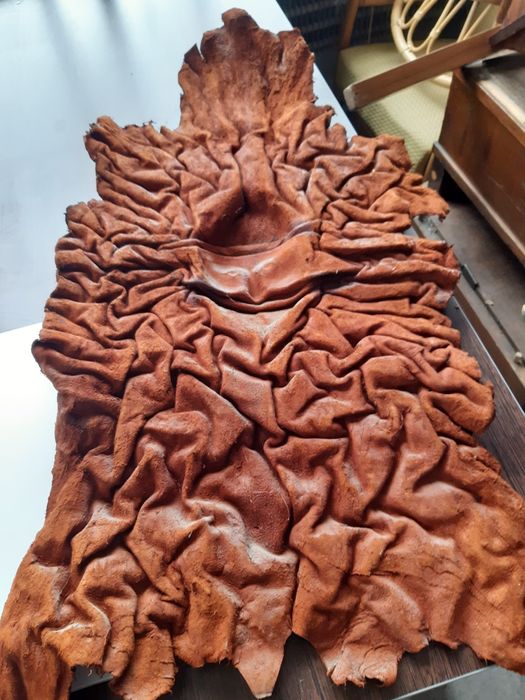 Ozdobna skóra na ścianę