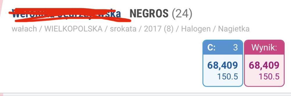 Wałach mały sport, ujeżdżenie, wałach 8 lat
