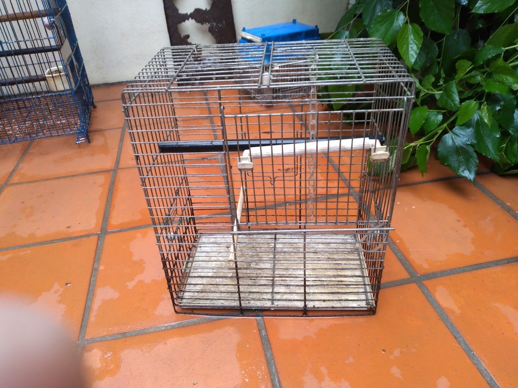 Gaiola com abertura para pássaro domesticado