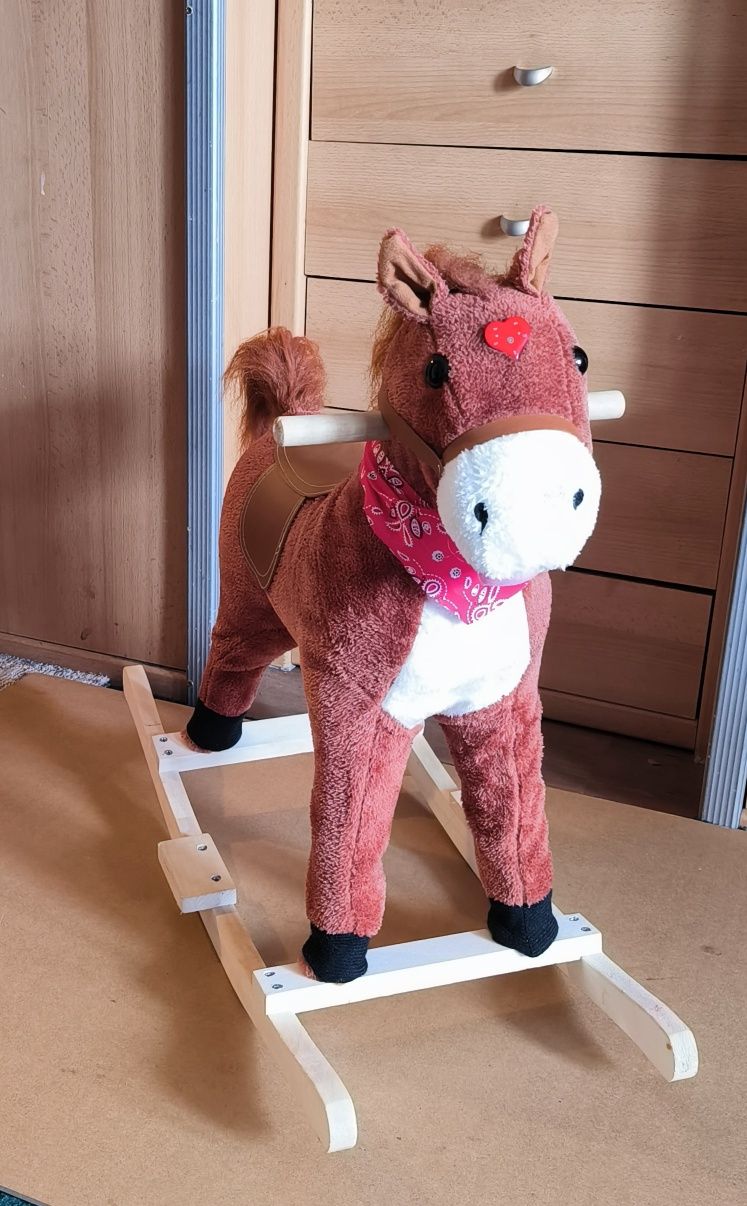 Konik na biegunach