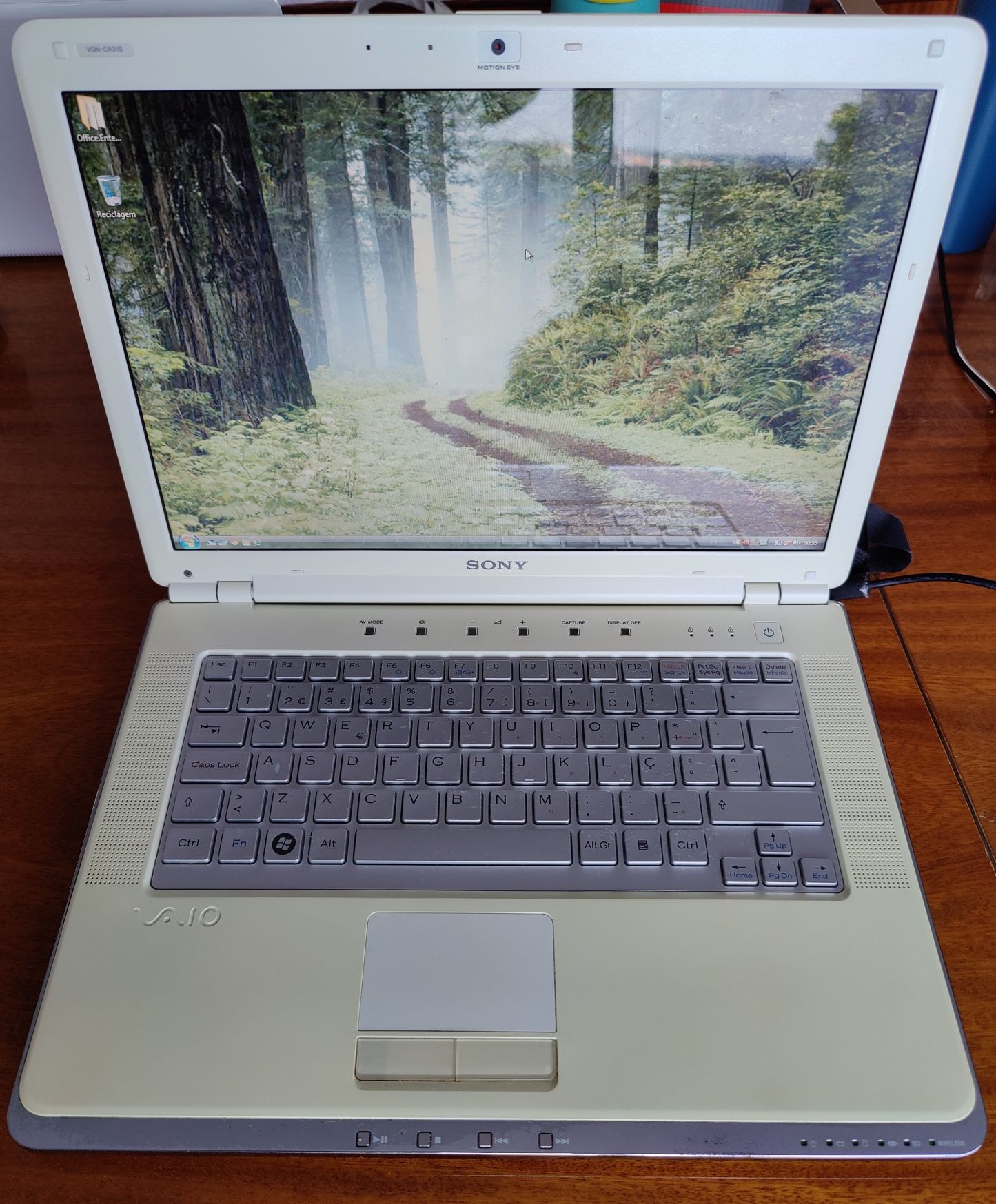 Portátil Sony Vaio VGN-CR31S