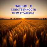 Пашня в собств, 15 км от Одессы - в стор Барабой