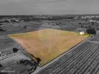 Terreno  para venda