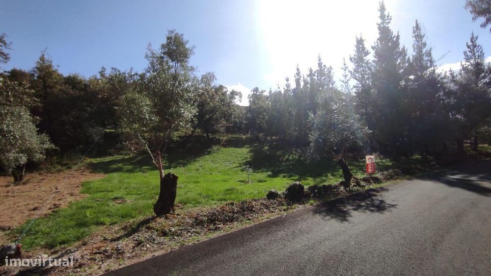 Terreno para construção de moradia isolada Tapéus, Soure