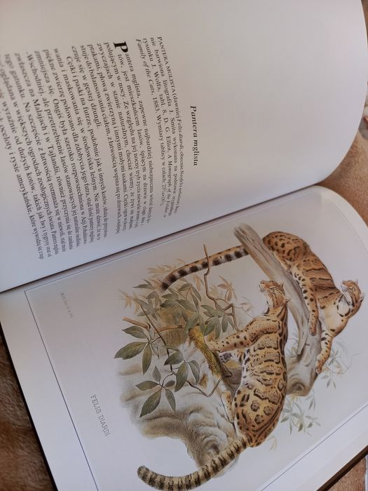 Historia Naturalna w Obrazach Ssaki twarda oprawa