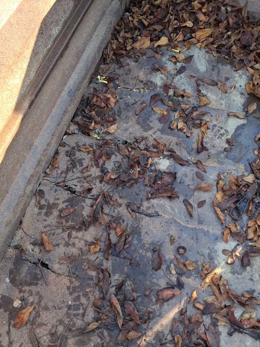 Przyczepa tadem Tim 7.5t, wysoki wysyp