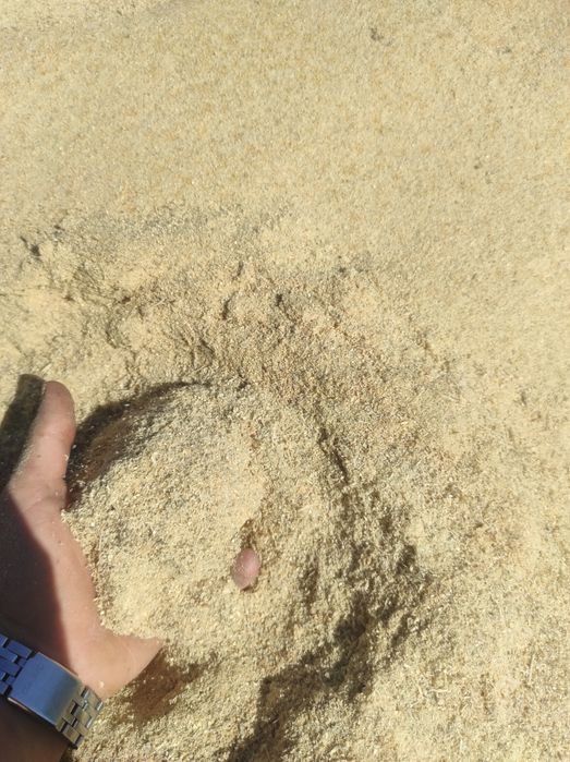 Соснова ТИРСА без кори