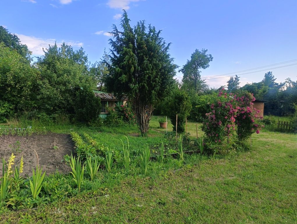 Działka ROD Panorama