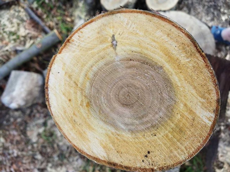 Potężna Piła Spalinowa WUBER 5,7KM Ogromny Zestaw XXL - Okazja !