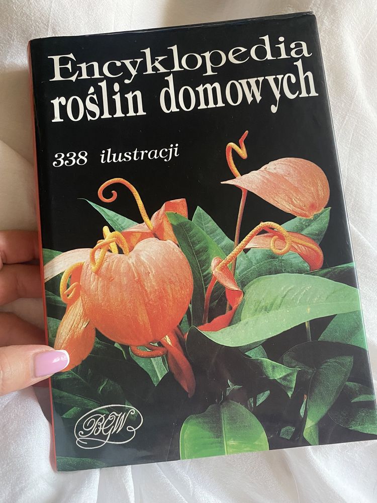 Książka Encyklopedia roślin domowych - 338 ilustracji #polecam!