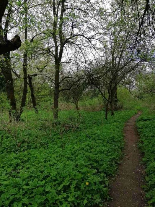 Продаж Дачної ділянки вул. Холодна