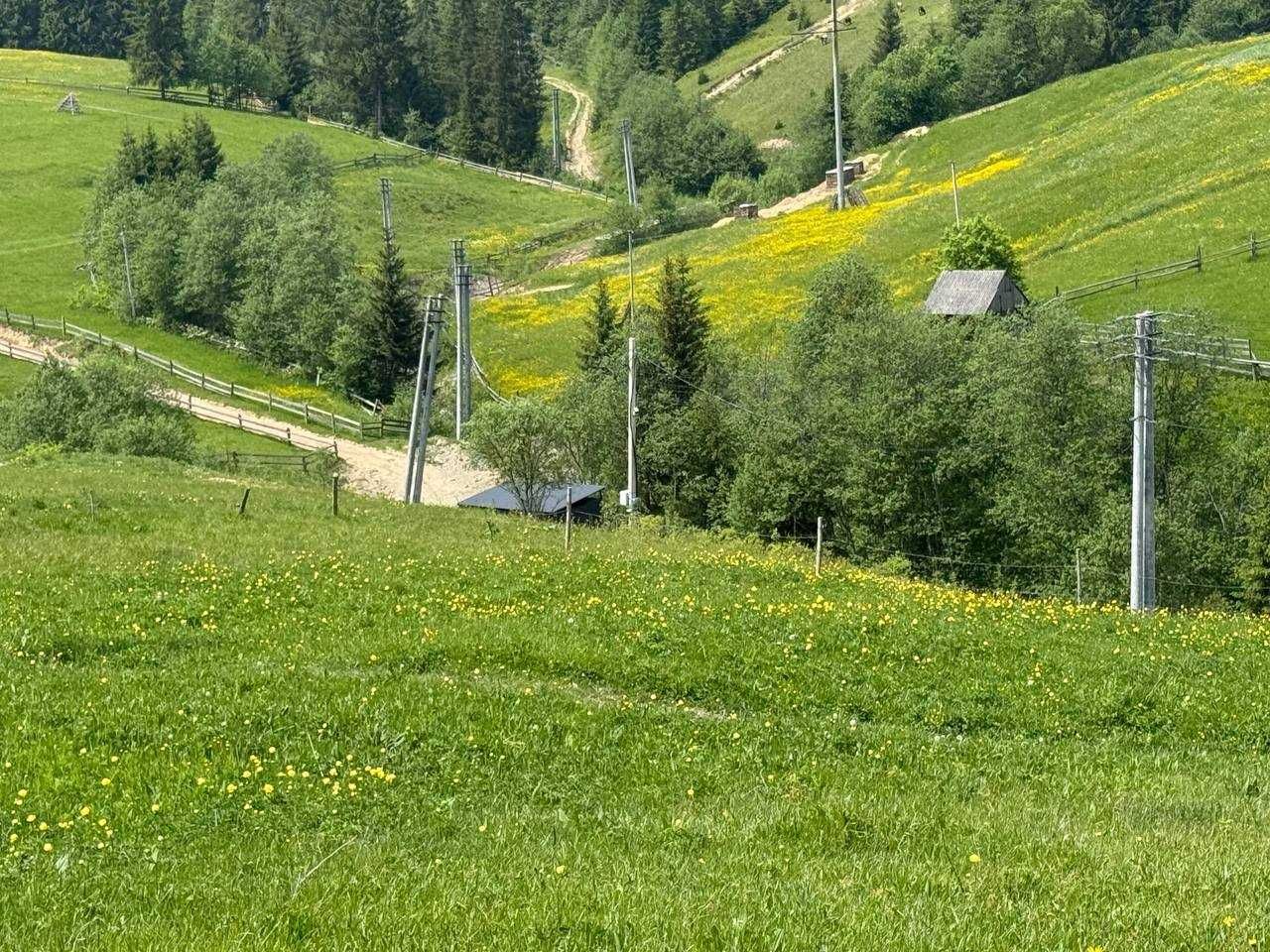 Топова пропозиція землі с.Поляниця (Буковель)