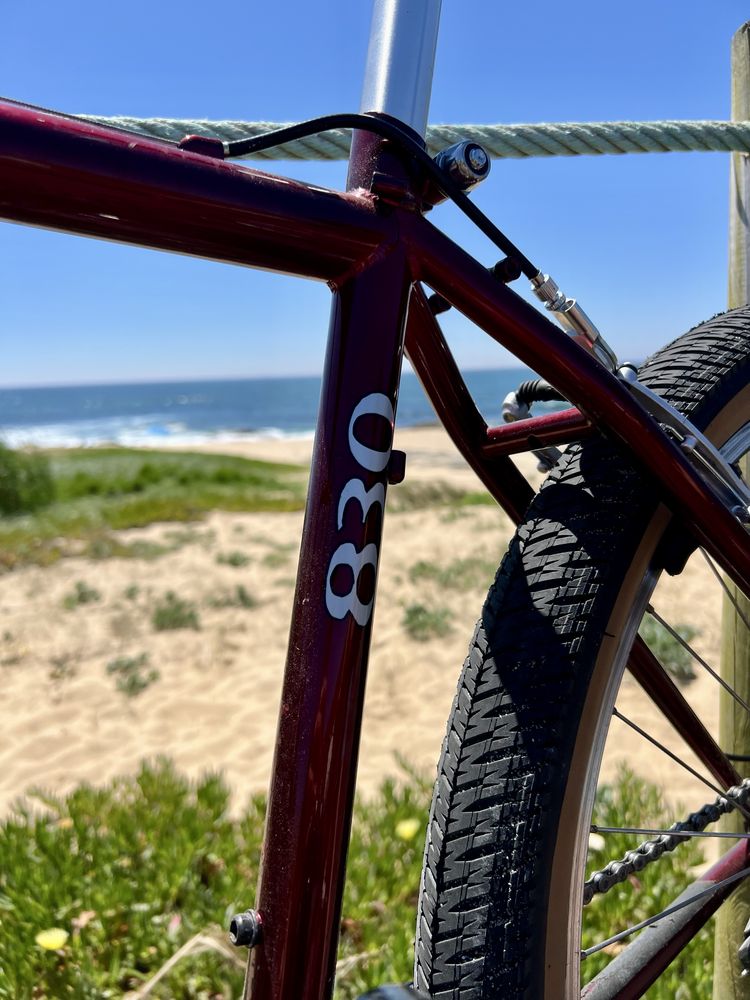 Trek 830 "gravel"