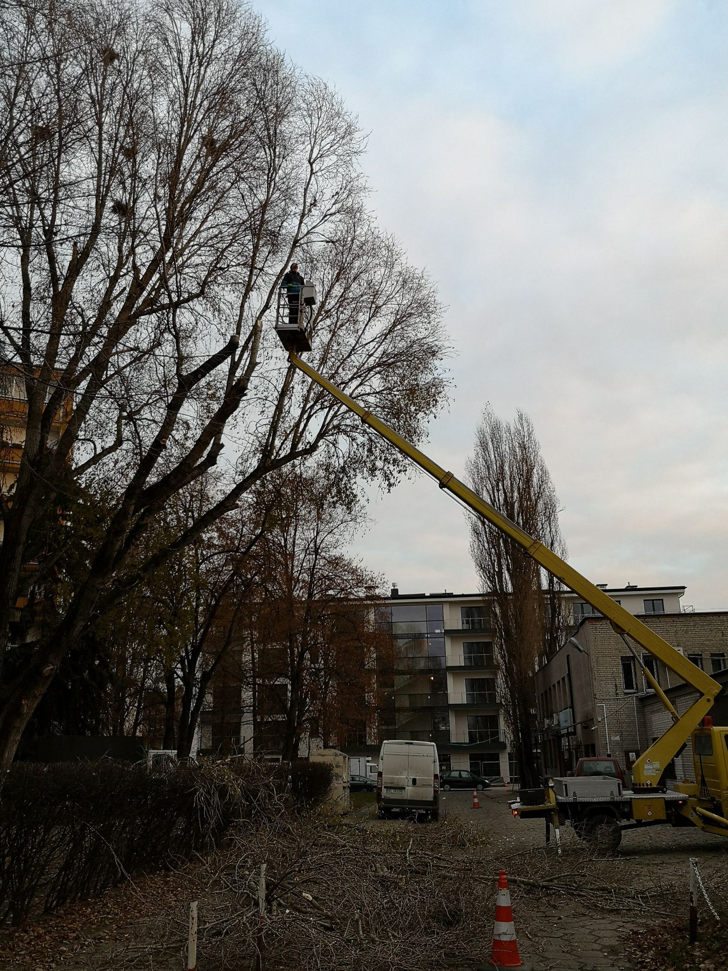 Czyszczenie działek mulczowanie wycinka wyrywanie karp