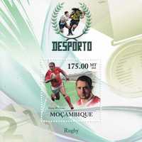 Mozambik 2010 cena 4,400 zł kat.8€ (3) - rugby, blok