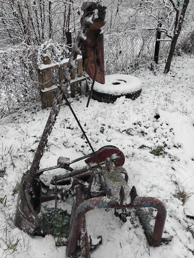 Косалка сегментна