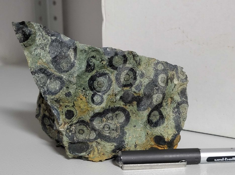 Jaspis kambaba surowy, duży, Madagaskar