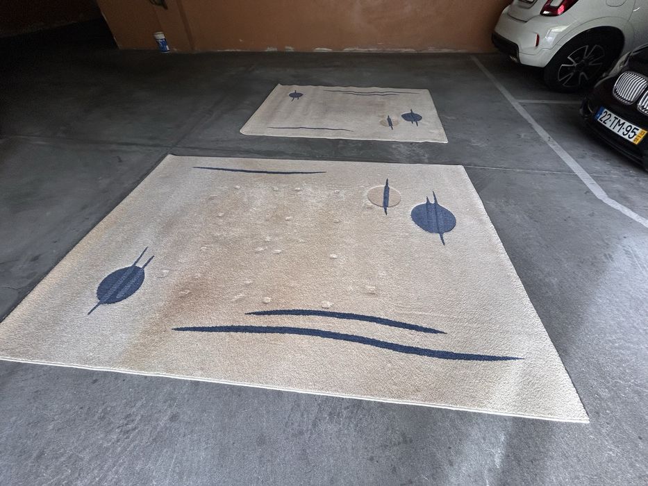 Carpetes de sala