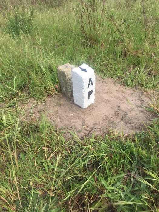 Terreno em Benavente