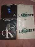 Lote de 12 t-shirts novas