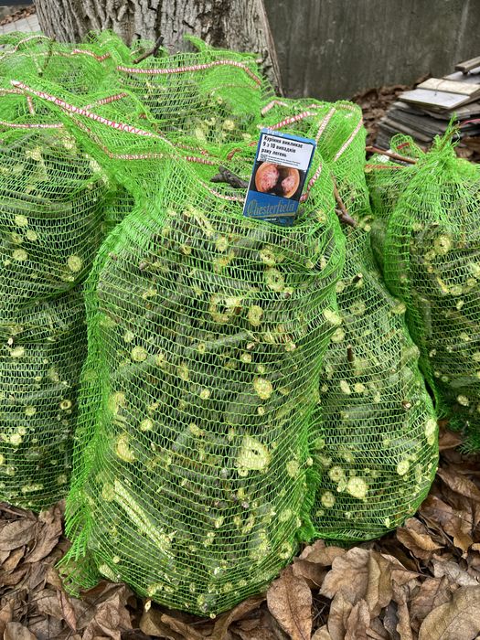 Обрезка деревьев на плодоношение Спил больших деревьев вывоз Бесплатно