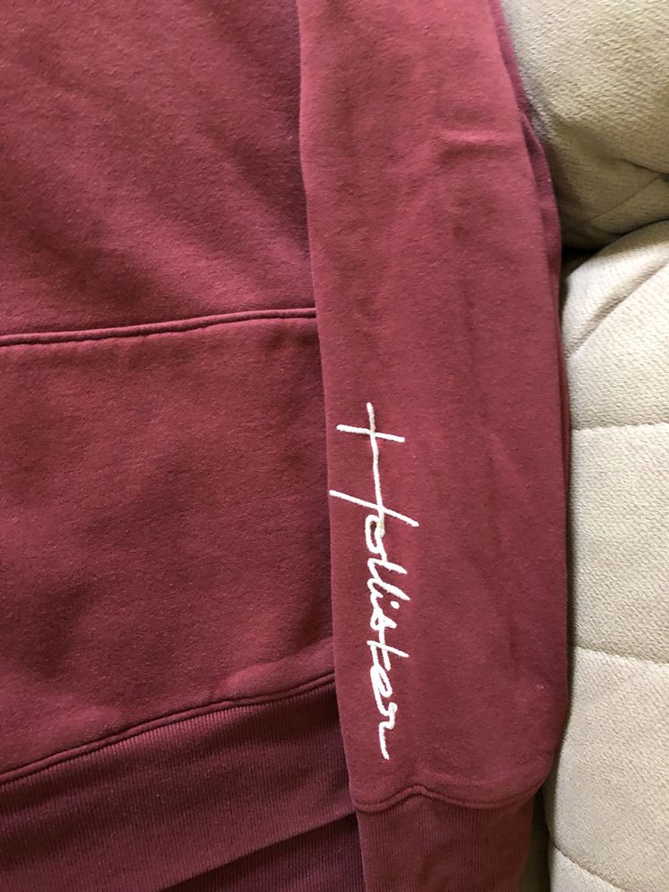 Hoodie “Hollister”