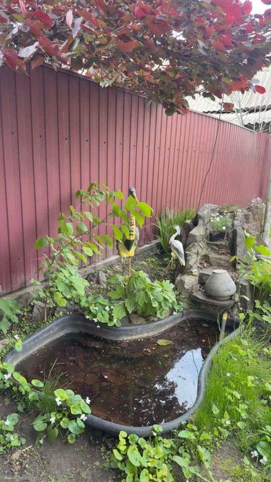 Продається будинок у с. Дем’янці