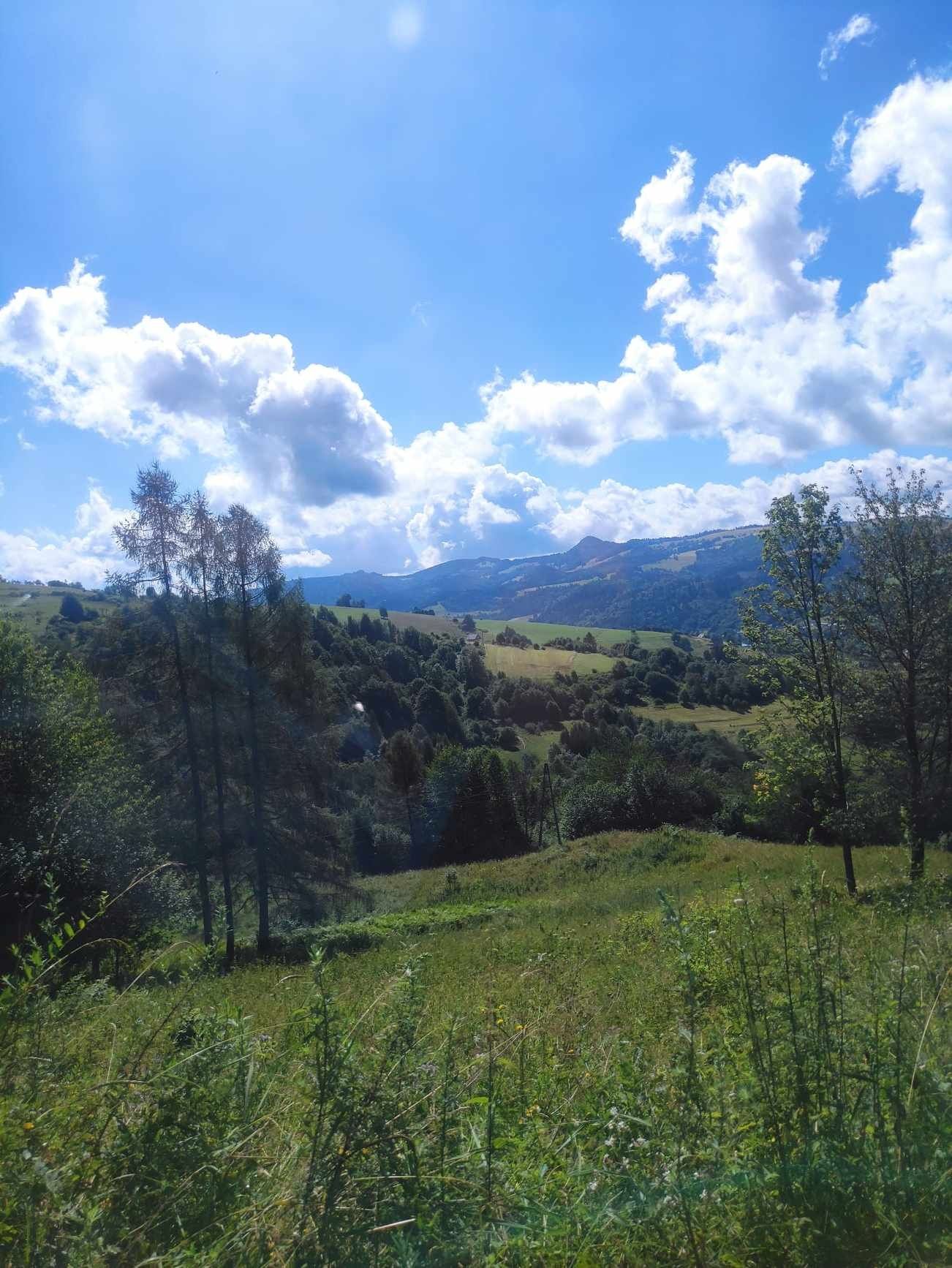 Dom z działką w górach Szczawnica