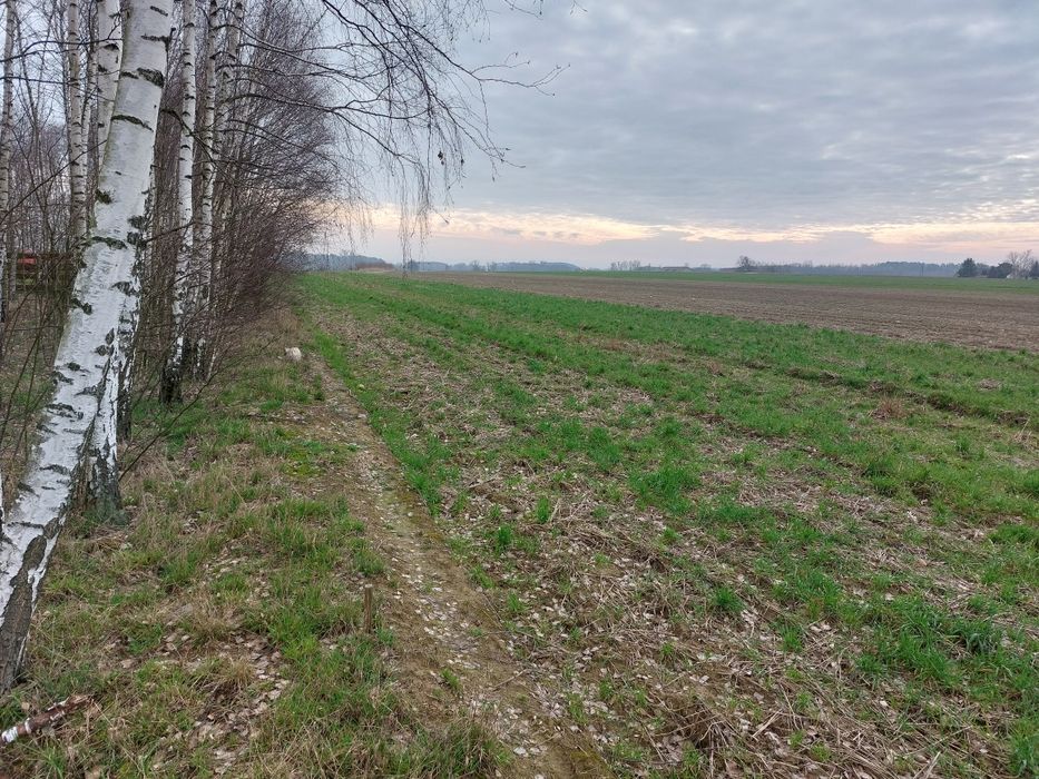 Sprzedam działkę budowlaną z warunkami zabudowy  w pięknej okolicy.