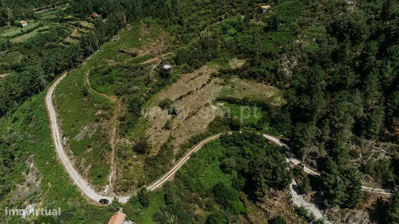 Terreno / Seia, Loriga