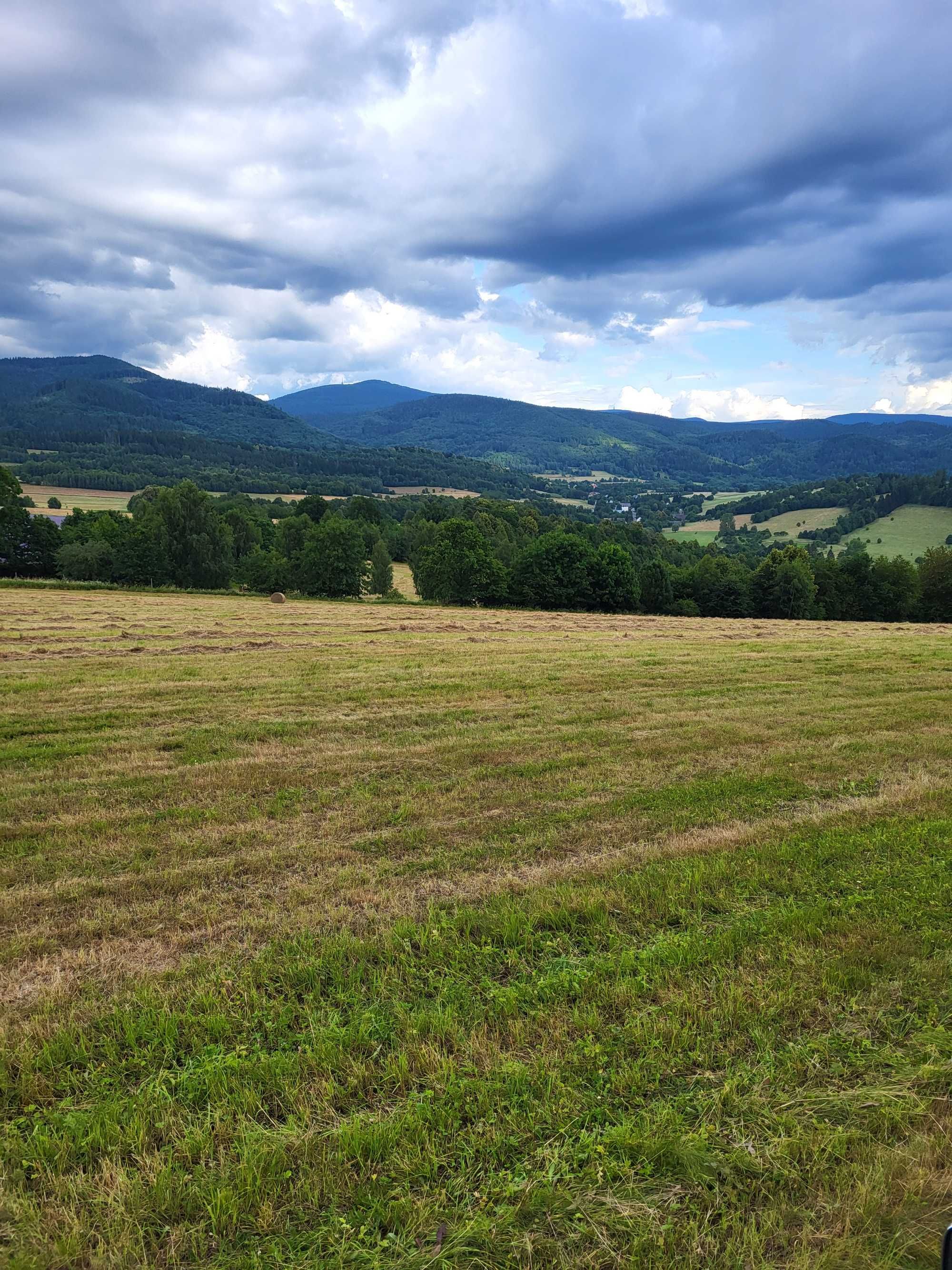 Działka z warunkami zabudowy – 0,47 ha – widokowa – Idzików