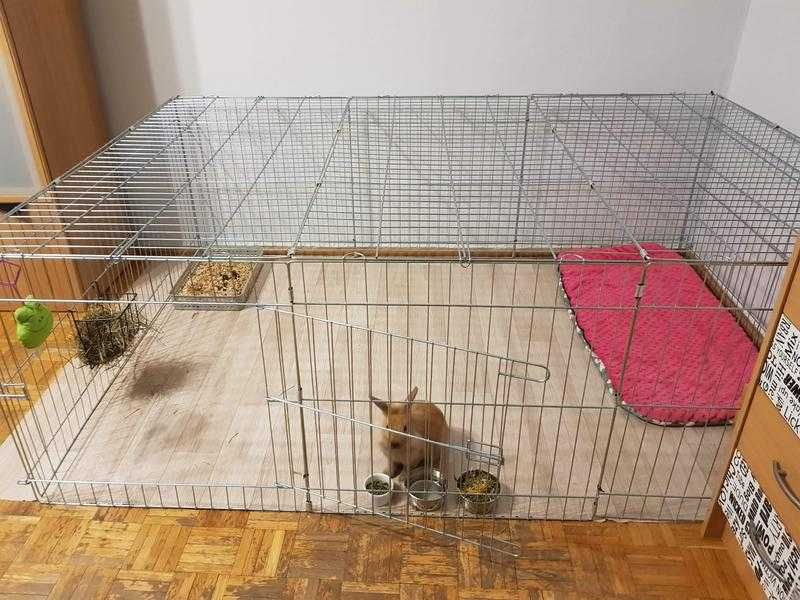 NOWA klatka wybieg kojec dla psa kurcząt kota królików świnki morskiej