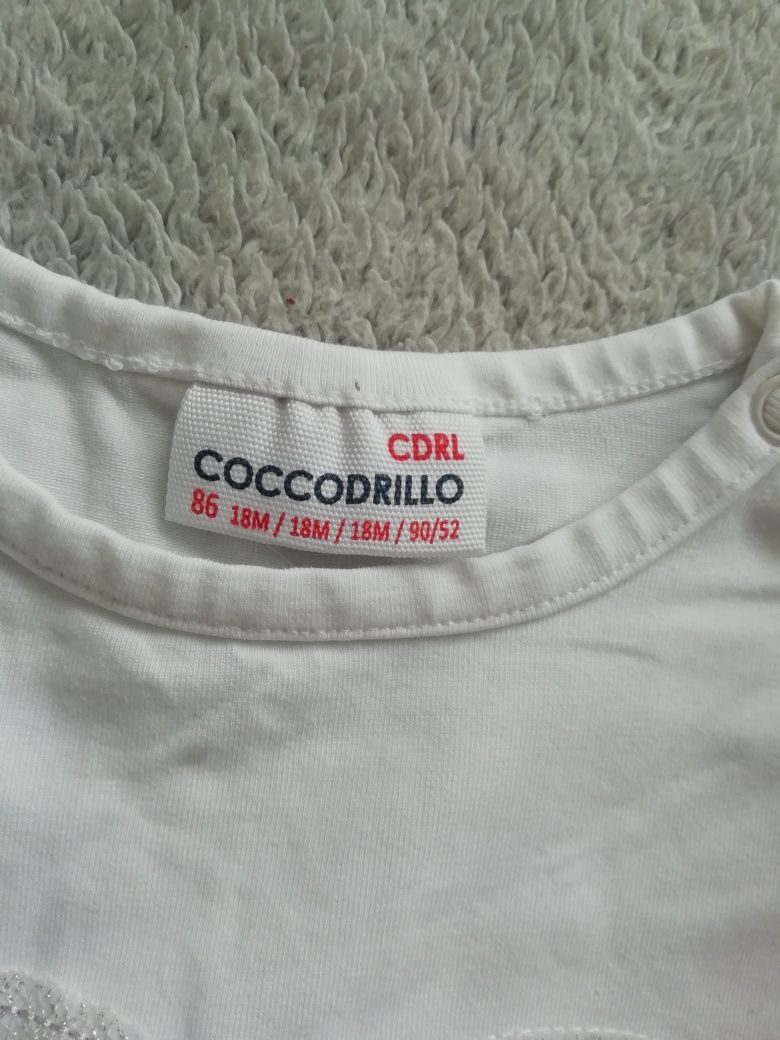 Zestaw coccodrillo reserved