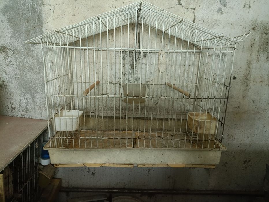 Tenho estes dois viveiros ,para dispensar