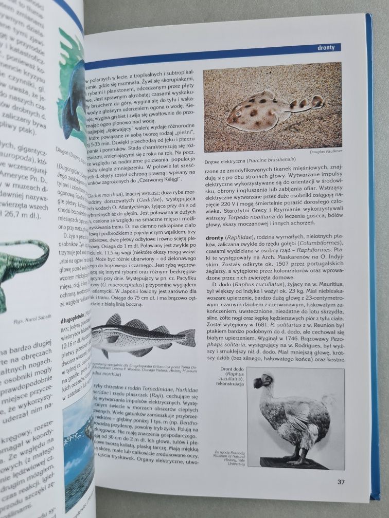 Zoologia I - Encyklopedia Britannica