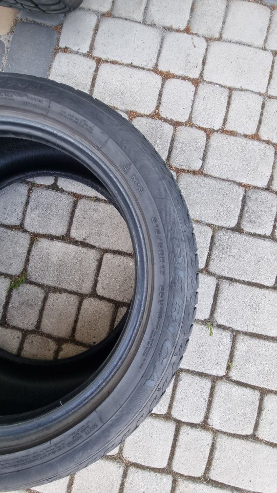 Opony Nexen wielosezonowe 17', Dębica zimowe 17'