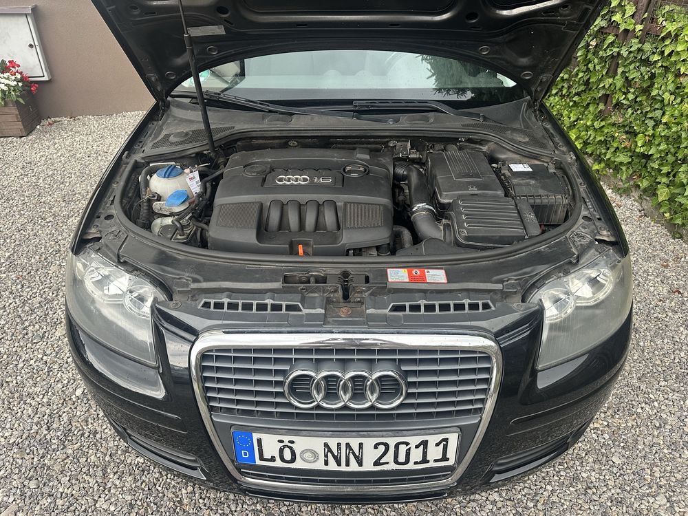 Audi A3 1,6 MPi 5 drzwi Pdc Klima Alu17  Sprowadzony Niemcy