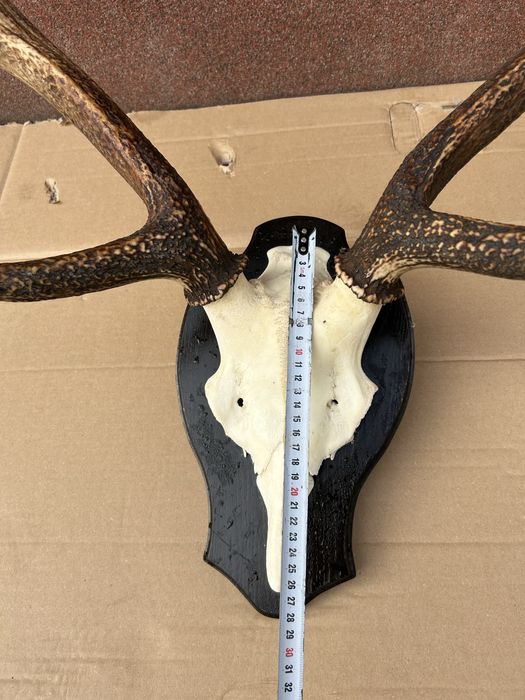 Виріб з ріг оленя