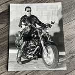 Terminator 2 Arnold Schwarzenegger