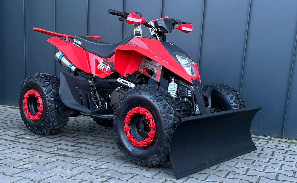 berreta mad max 250 cc