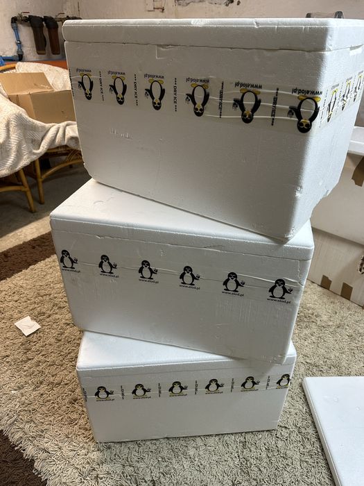 Styrobox thermobox opakowanie styropianowe 15 sztuk 44l duże 58x38x37